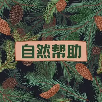 及时行乐封面