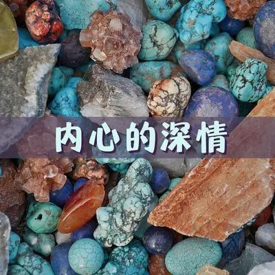 美丽的花园封面