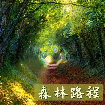 雨林封面
