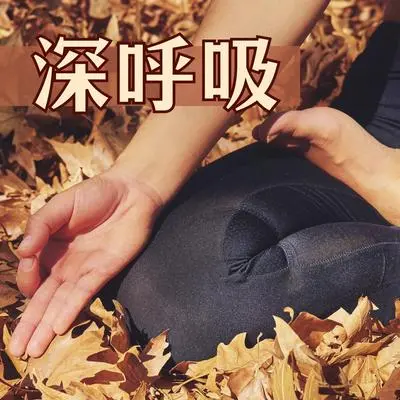 日落封面