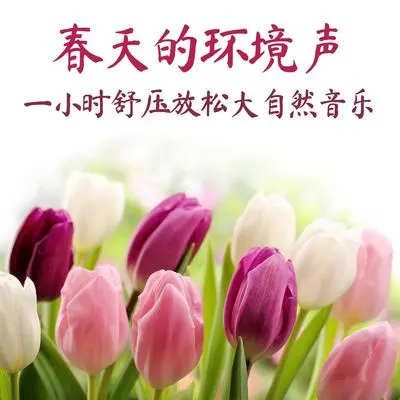 春暖花开封面