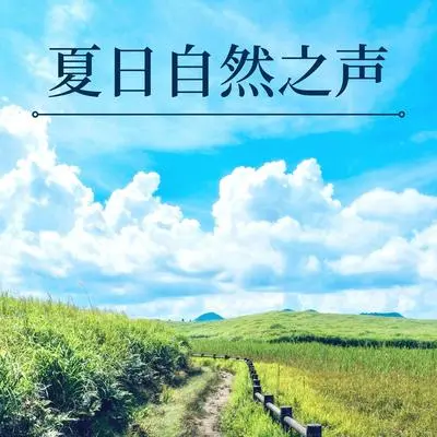 美丽的心灵 - 太阳夏天封面