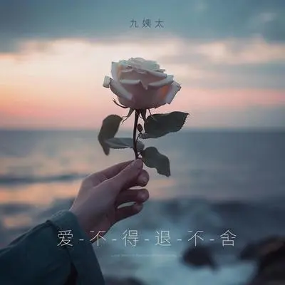 爱不得退不舍封面