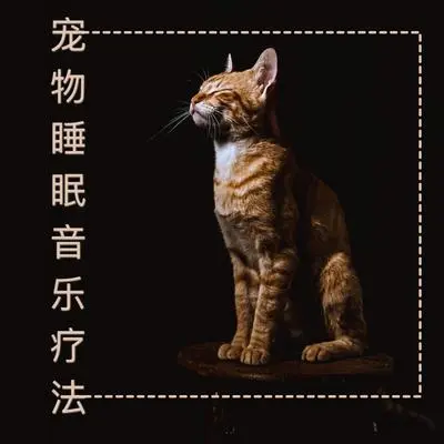 让你的死党完全放松 - 催眠音乐封面