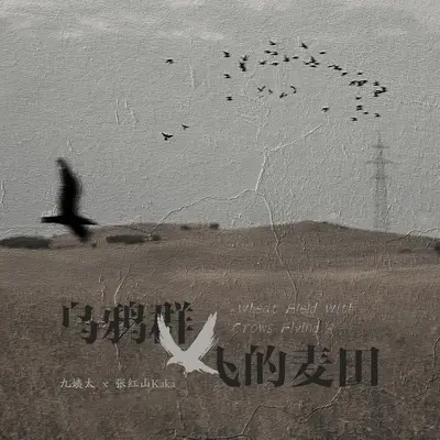 乌鸦群飞的麦田 - 王唯一 / 张红山KaKa封面