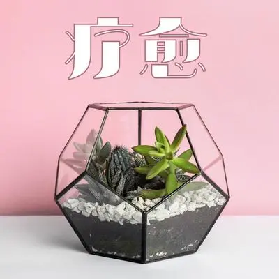 身-心-灵封面
