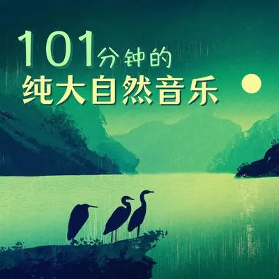 莲花封面