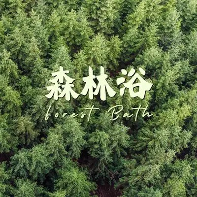 纯音乐封面