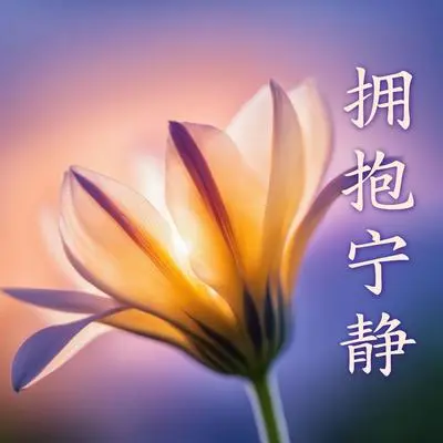 花园中的静谧封面
