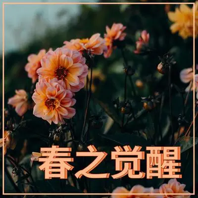 涅槃封面