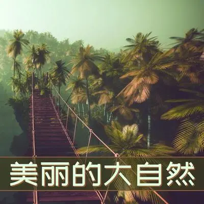 北极光封面