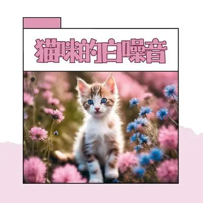 安宁封面