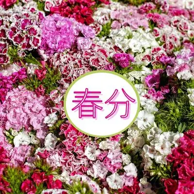 催眠封面