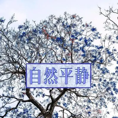 黑夜 - 仙气BGM封面