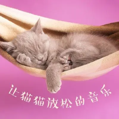 爱情和友好 - 猫咪安眠曲封面