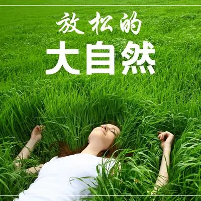 贝壳 - 自然世界封面