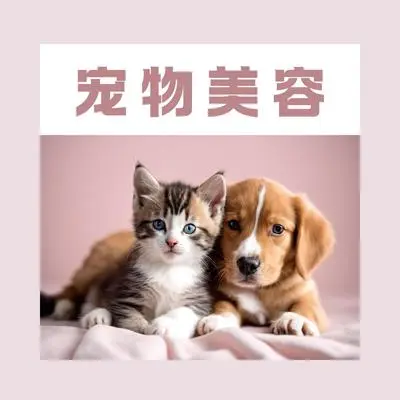 活力 - 动物睡眠封面