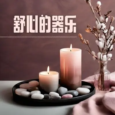 花开花落封面