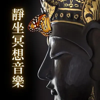 禅定音乐封面