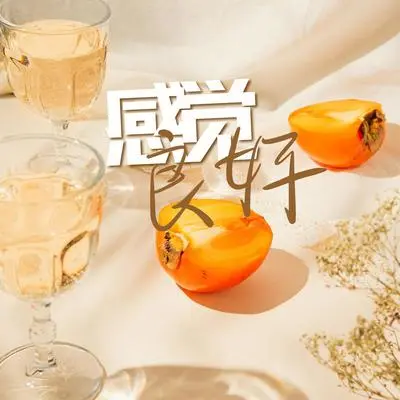 灵感 - 欧洲风格封面