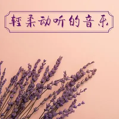 温柔的雨声封面