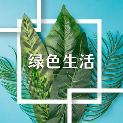 爱听的音符封面