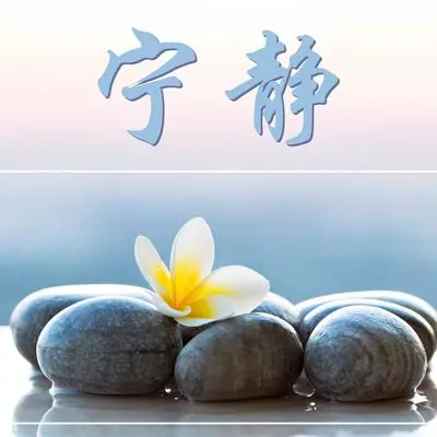 在森林中迷路 - ZEN氛围封面