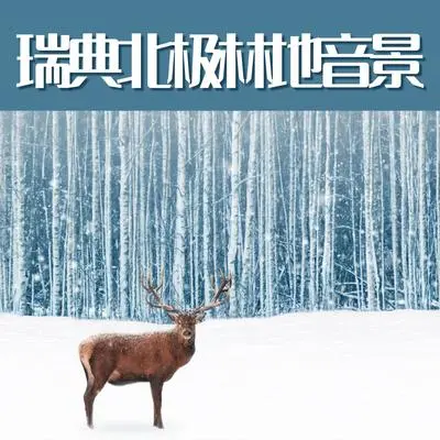 叶子封面