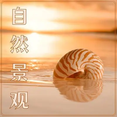 钢琴封面
