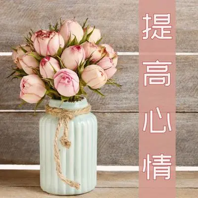晨曦封面