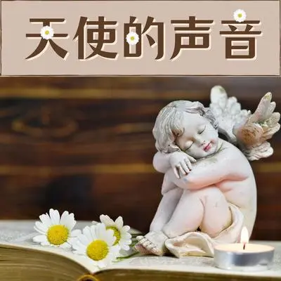 花园封面