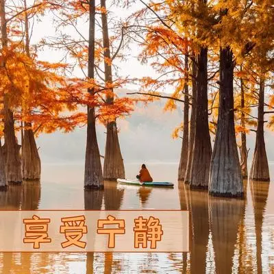 禅封面
