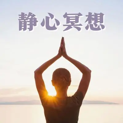 小提琴封面