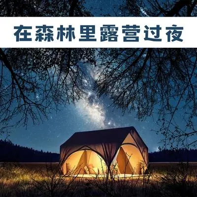 月夜封面