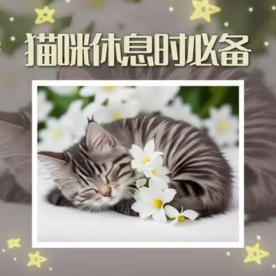 荷花封面