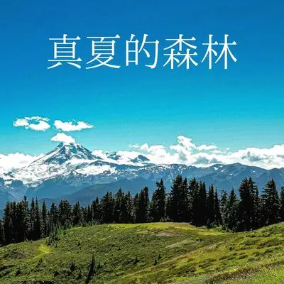 助放松的身体封面