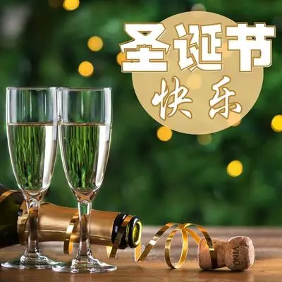 颂歌封面