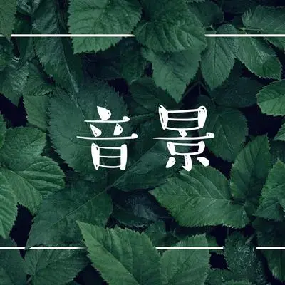 竹子封面