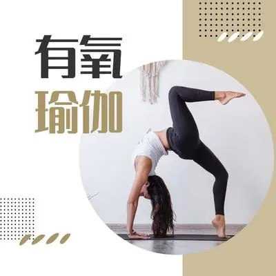 白莲花封面