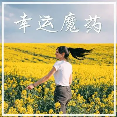 舒缓的旋律封面