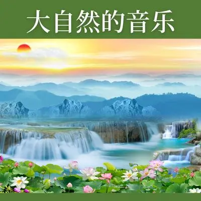 探索森林封面