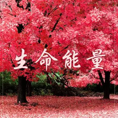 极光封面
