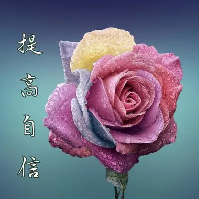 北极光封面
