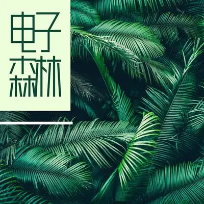 沉思 - 森林和谐 / 白噪声BGM封面