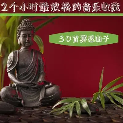雨和鸟的治疗声封面