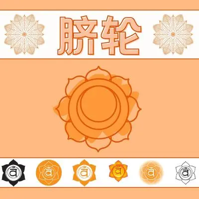 莲花封面