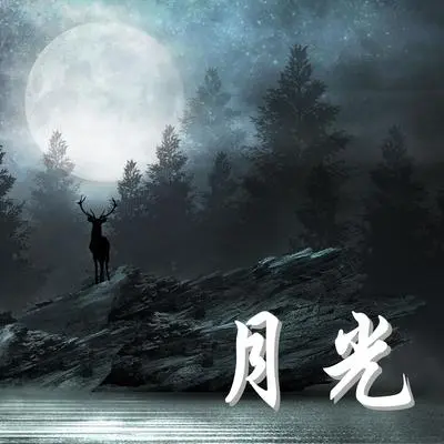 海洋 - 夜间事务封面
