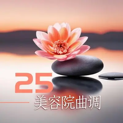 安宁封面