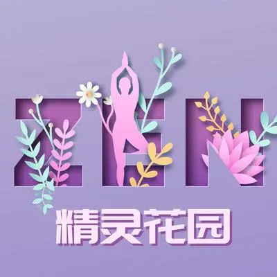 小提琴封面