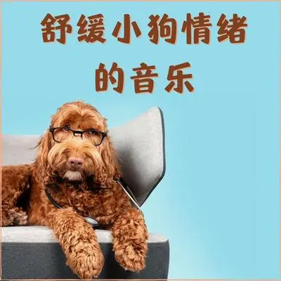 轻松听的音乐封面